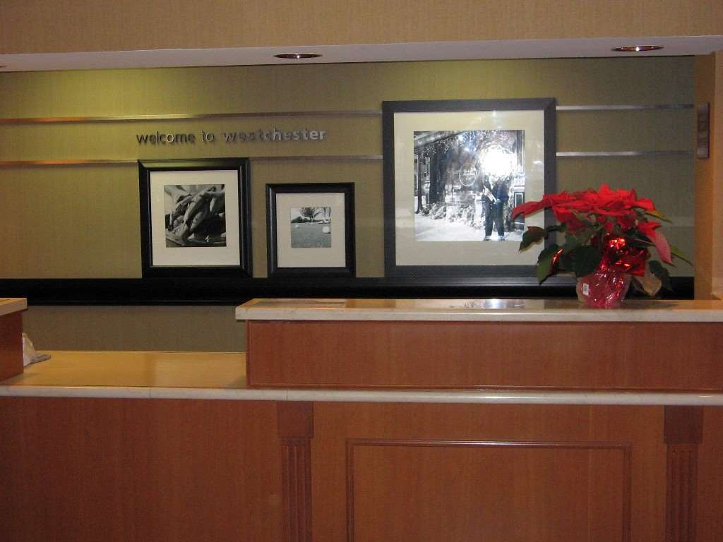 Four Points By Sheraton Chicago Westchester/Oak Brook Interieur foto